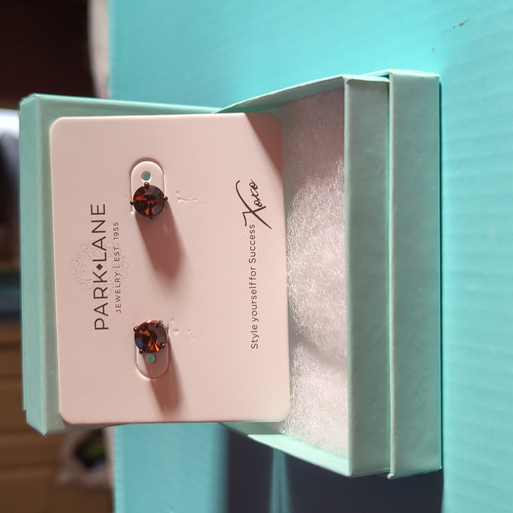 Beautiful Chocolate Impression Earrings